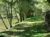 Hérisson - Promenade le long de la rivière Aumance (arbres au bord de l'eau)