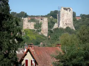 Hérisson - Ruines (vestiges) du château féodal dominant les maisons du village médiéval