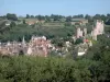 Hérisson - Vue sur le village de Hérisson entouré de verdure : maisons du village médiéval, clocher Saint-Sauveur, église Notre-Dame et château féodal dominant l'ensemble