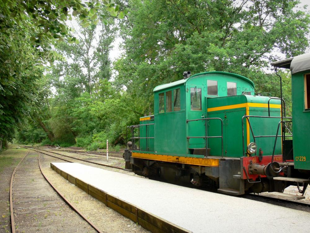 Het regionaal Natuurpark Les Landes de Gascogne - Regionaal Natuurpark Les Landes de Gascogne: Train Marquèze, Sabres, wat leidt tot het museum van de Grote Heide Marquèze en volgen omzoomde