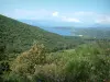 Het woud van Chiavari - Gids voor toerisme, vakantie & weekend in Zuid-Corsica