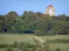 Heuvel van Thil - Klokkentoren van de collegiale kerk van Thil domineert bomen en weiden