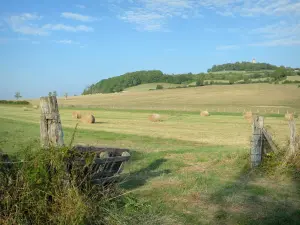 Heuvel van Thil - Uitzicht op de velden aan de voet van de Butte de Thil