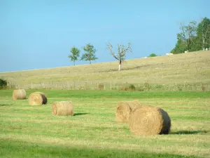 Heuvel van Thil - Balen hooi in een veld, aan de voet van de heuvel van Thil