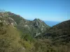 Hinterland - Montanhas cobertas de florestas com o mar à distância