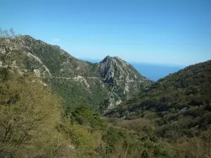 Hinterland - Berge bedeckt mit Wäldern, Meer in der Ferne