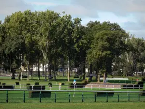 Hipódromo de Leão-d'Angers - Hipódromo Isle-Briand (pista de corridas)