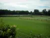 Hippisme - Hippodrome (champ de courses) de Chantilly, arbres en arrière-plan
