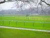 Hippodrome de Longchamp - Champ de courses et arbres