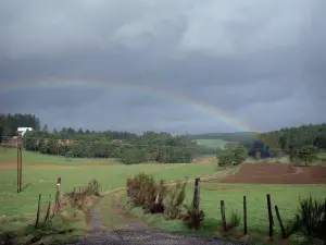 Hochebene des Vivarais-Lignon - Von Weiden gesäumter Weg mit Blick auf einen Regenbogen, der einen Wald überspannt