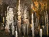 Höhle Aven Armand - Führer für Tourismus, Urlaub & Wochenende in der Lozère