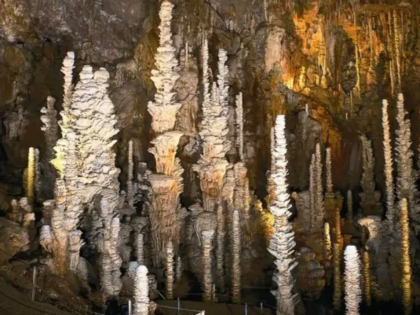 Höhle Aven Armand - Führer für Tourismus, Urlaub & Wochenende in der Lozère