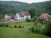 Le Hohwald - Prairie, oies, rivière, maisons et forêt