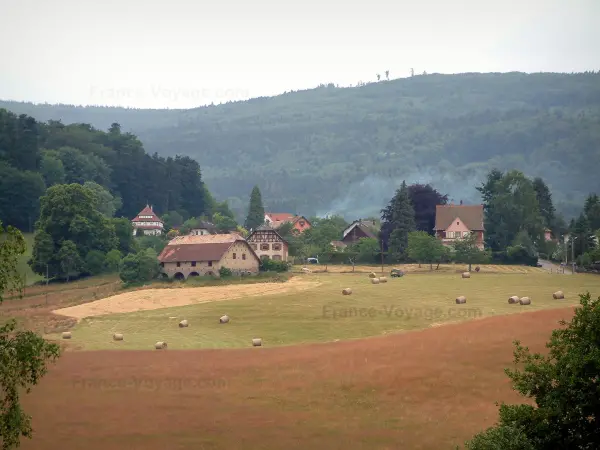 Le Hohwald - Guida turismo, vacanze e weekend nel Basso Reno