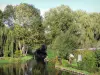 Hortillonnages d'Amiens - Jardins agrémentés d'arbres au bord du canal (eau)