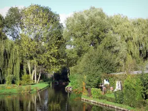 Hortillonnages von Amiens - Gärten geschmückt mit Bäumen am Rande des Kanals (Wasser)