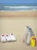 Hossegor - Transats et planches de surf et de bodyboard sur la plage de sable avec vue sur l'océan Atlantique