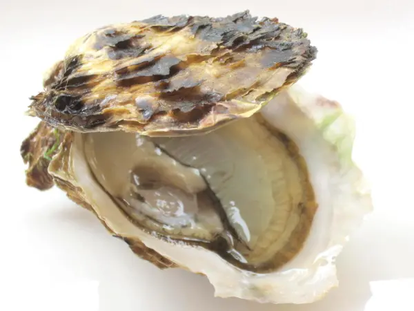 Les huîtres de Gruissan et de Leucate - Guide Gastronomie & Vacances