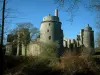Hunaudaye castle - Castle with its towers and surrounded by trees (forest)