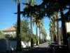 Hyères - Straat met palmbomen