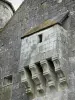 Iglesias fortificadas de Thiérache - Aouste: puerta de entrada de la iglesia fortificada de Saint-Remi