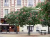 Île de la Cité - Square agrémenté d'arbres, devanture de restaurant et façade de la place Dauphine