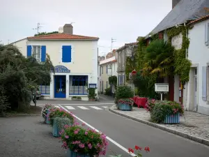 Île de Noirmoutier - Noirmoutier-en-l'Île : rue bordée de fleurs et maisons de la ville