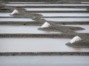 Île de Noirmoutier - Marais salants