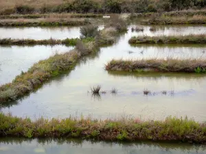 Île de Noirmoutier - Marais salants