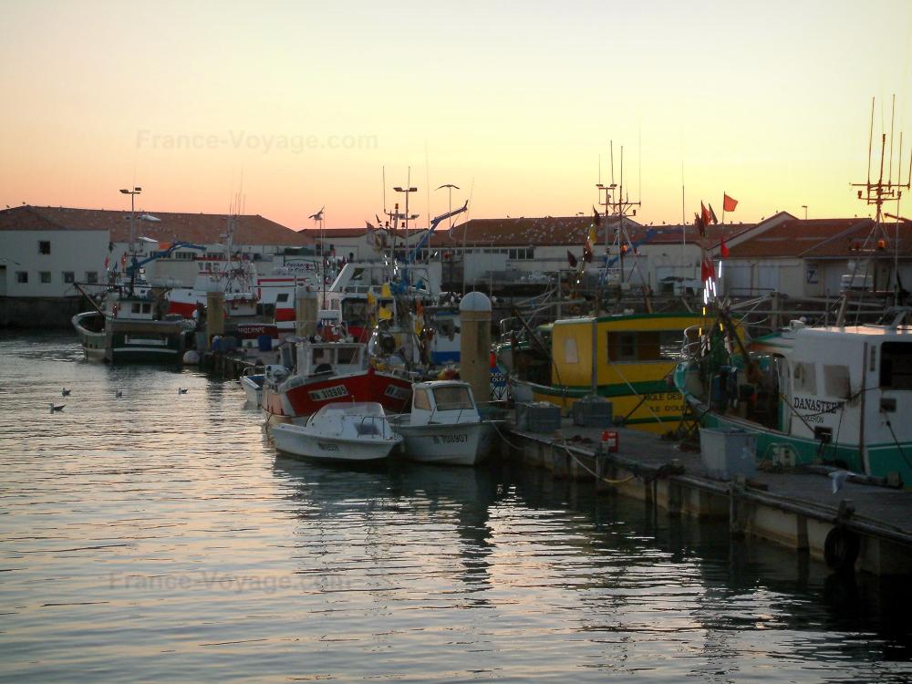 Hotel Ile D Oleron Vue Sur Mer Hotel Ile D Oleron Vue Sur Mer