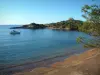 Île de Porquerolles - Branches d'un pin (arbre), plage noire, mer méditerranée avec un bateau et fort du Grand Langoustier