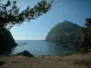 Île de Porquerolles - Calanque du Brégançonnet : branches d'un pin (arbre) en premier plan, petite plage, rochers et mer méditerranée avec un bateau