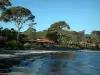 Île de Porquerolles - Plage d'Argent, mer méditerranée, maison avec une terrasse et pins (arbres)