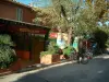 Île de Porquerolles - Rue du village de Porquerolles avec maison, restaurant et arbres