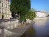 Île Saint-Louis - Flânerie au bord de la Seine, le long du quai de Bourbon