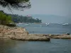 Îles de Lérins - Île Sainte-Marguerite : branches d'un pin (arbre) en premier plan, rochers, mer avec des bateaux, forêt, fort Royal (musée de la Mer) et littoral de la Côte d'Azur en arrière-plan