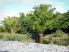 Ilet Bethléem - Fluss Marsouins mit grünem Rahmen