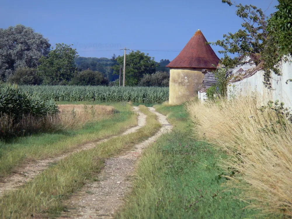 Guide de l'Indre - Paysages du Berry - Chemin en bordure de champs de maïs