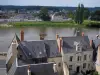 Reiseführer der Indre-et-Loire - Amboise - Häuser säumen den Fluss (die Loire)