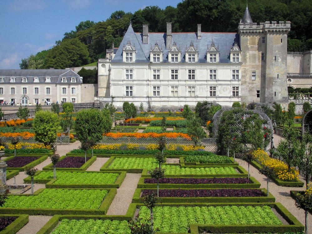 Guide de l'Indre-et-Loire - Château et jardins de Villandry - Château et son donjon dominant le jardin potager (légumes, fleurs et tonnelles)