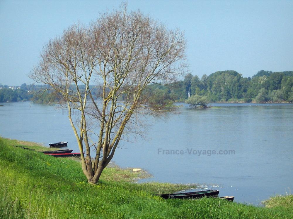 Guide de l'Indre-et-Loire - Parc Naturel Régional Loire-Anjou-Touraine - Herbes hautes, arbre, barques, fleuve (la Loire) et rive opposée avec des arbres (val de Loire)