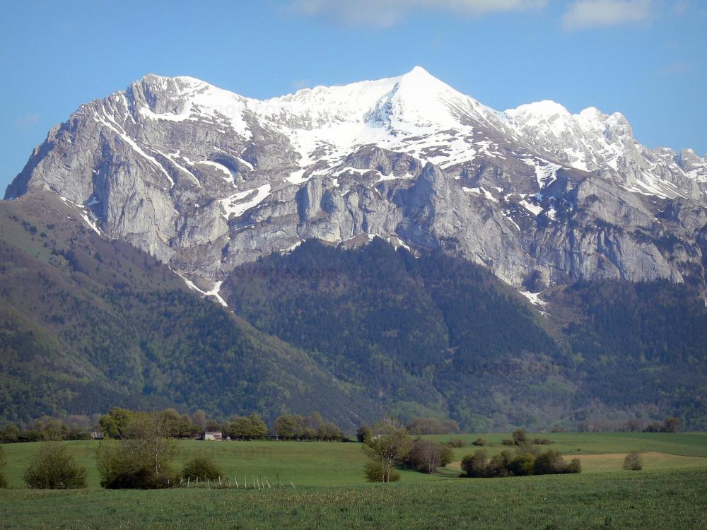Guide de l'Isère - Paysages du Dauphiné - Trièves : pâturages, arbres, forêt et montagne au sommet enneigé