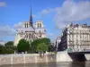 Isla de la Ciudad - Río Sena, Pont Saint-Louis, la cabecera de Notre Dame y edificios de la Ile de la Cité