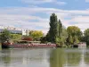 Isla de los impresionistas - Vista del río Sena y sus barcazas desde la isla de Chatou