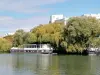 Isla de los impresionistas - Vista de una barcaza en el Sena y los árboles a lo largo del agua de la isla de Chatou