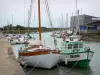 Isla de Noirmoutier - Noirmoutier en l'Ile: puerto con sus barcos amarrados