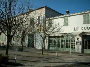 Isla de Ré - Ars-en-Re: plaza con árboles y casas en la aldea