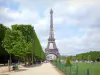 Jardim do Champ-de-Mars - Passarelas alinhadas com árvores e gramados do Champ-de-Mars, com vista para a Torre Eiffel
