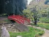 Jardim do museu departamental Albert-Kahn - Jardim japonês