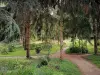 Jardim do museu departamental Albert-Kahn - Passarelas arborizadas